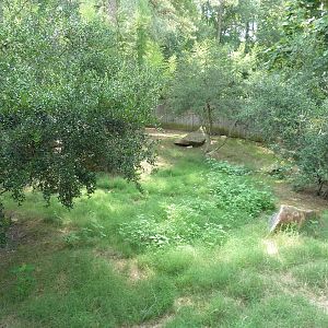 Parma Wallaby Exhibit