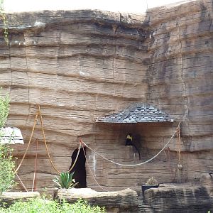 Diana Monkey Exhibit