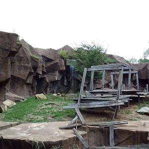 Hamadryas Baboon Exhibit