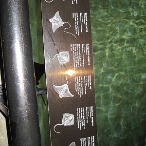 Wings in the Water-Signage