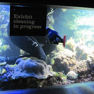 Sea Cliffs, Kelp Forest, Pacific Coral Reef, Amazon River Forest-Pacific Co
