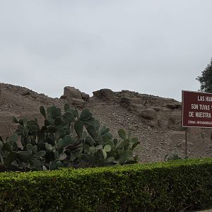 Huaca