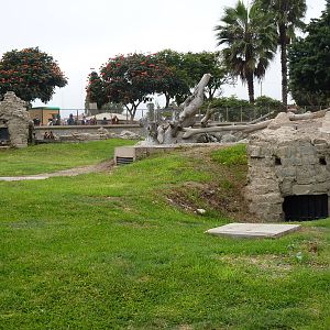 Brown Bear enclosure