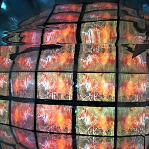 Animal Planet Australia: Wild Extremes-Television Screens