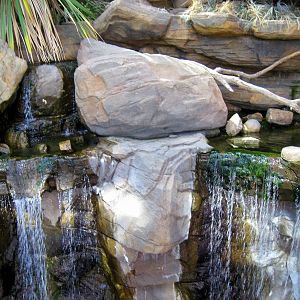 Animal Planet Australia: Wild Extremes-Waterfall