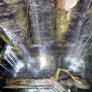 Animal Planet Australia: Wild Extremes-Waterfall