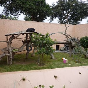 Chimpanzee enclosure