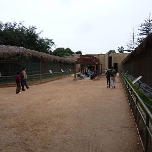 Parrot aviaries