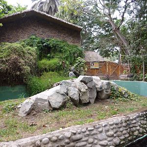 Neotropical River Otter enclosure
