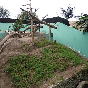 Jaguar enclosure