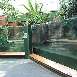 Aquarium/Reptile Complex - Tomistoma + Dwarf Caiman/Matamata Exhibits