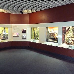 Aquarium/Reptile Complex - Desert Exhibits