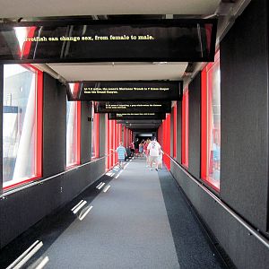 Walkway to Pier 4 Pavillion