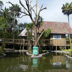 New Cotton-top enclosure