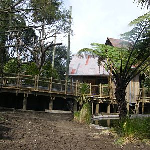 New Cotton-top enclosure