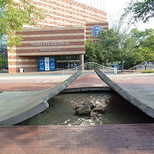 Aquarium Exterior - Artistic Pavement