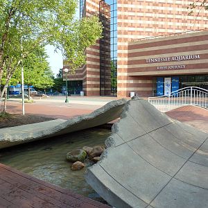 Aquarium Exterior - Artistic Pavement