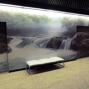 Freshwater Mural