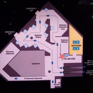 Seashores Gallery Map