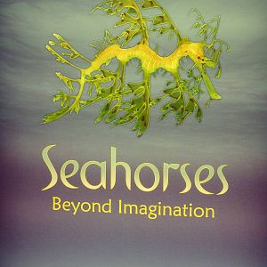 Seahorses - Entrance Sign