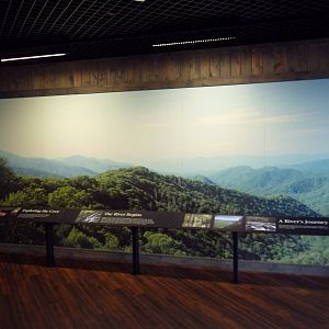 Appalachian Cove Forest - Entrance Photo