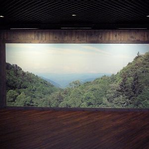 Appalachian Cove Forest - Entrance Photo