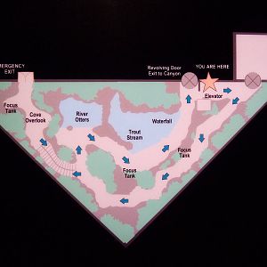 Appalachian Cove Forest - Map