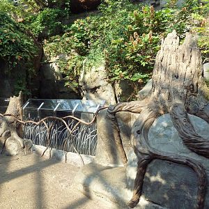 Appalachian Cove Forest - River Otter Exhibit