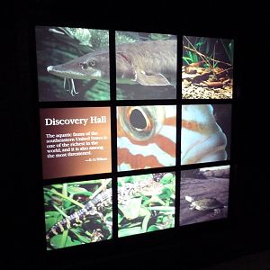 Discovery Hall - Entrance Sign