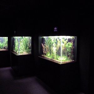 Discovery Hall Exhibits