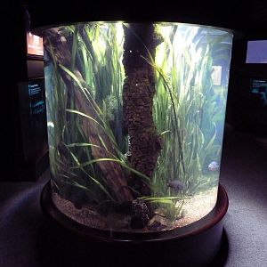 Discovery Hall Exhibit