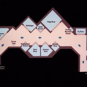 Rivers Of The World - Map