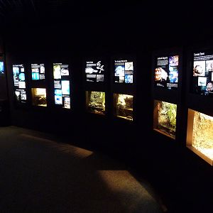 Tennessee River Gallery - Turtle Tanks