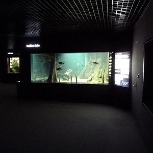 Tennessee River Gallery