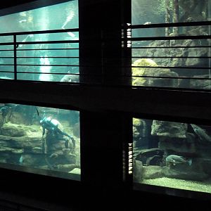 Tennessee River Gallery