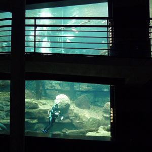 Tennessee River Gallery