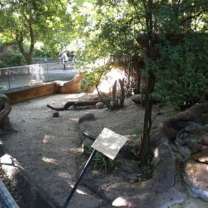 Tortoise exhibit