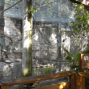 Parrot Aviaries