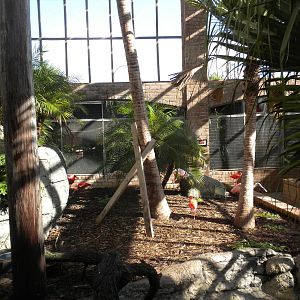Aviary