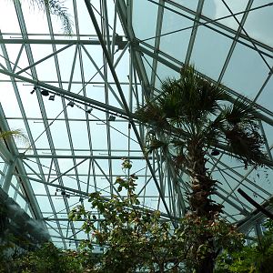 Tropical Cove - Roof