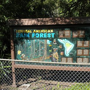Tropical American Rainforest Sign