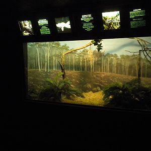 Diamond Python exhibit