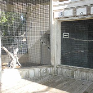 Australian aviaries