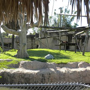 Sumatran Orangutan Island