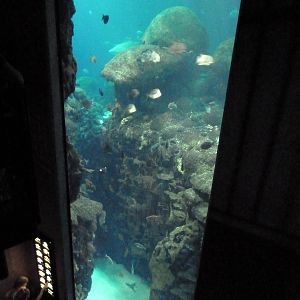 Ocean Journey Building