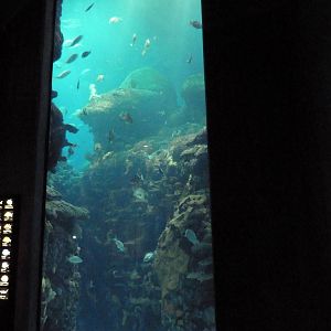 Ocean Journey Building