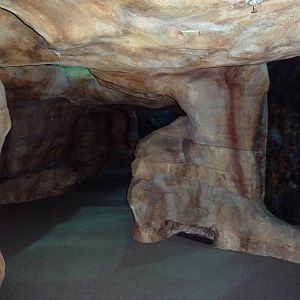 Ocean Journey Building