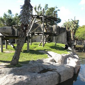 Chimpanzee Island