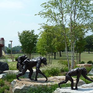 Chimpanzee Statues