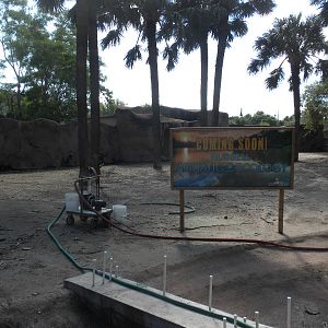 Former hoofstock yard, future aquatics expansion